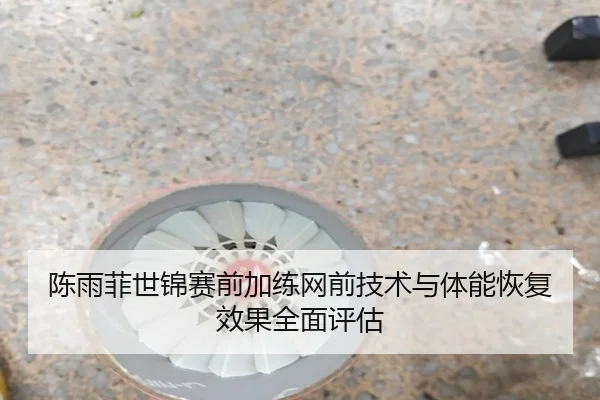 陈雨菲世锦赛前加练网前技术与体能恢复效果全面评估